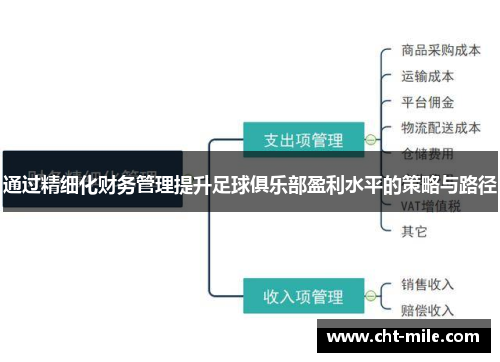 通过精细化财务管理提升足球俱乐部盈利水平的策略与路径
