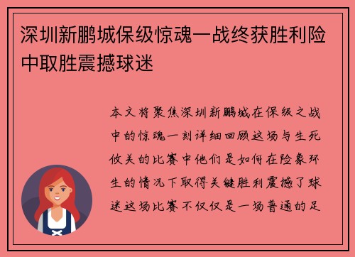 深圳新鹏城保级惊魂一战终获胜利险中取胜震撼球迷 深圳新鹏城保级惊魂一战终获胜利险中取胜震撼球迷